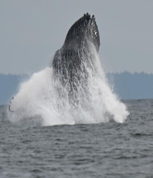 Tengo un par de semanas de vacaciones a repartir desde abril a primeros de junio.