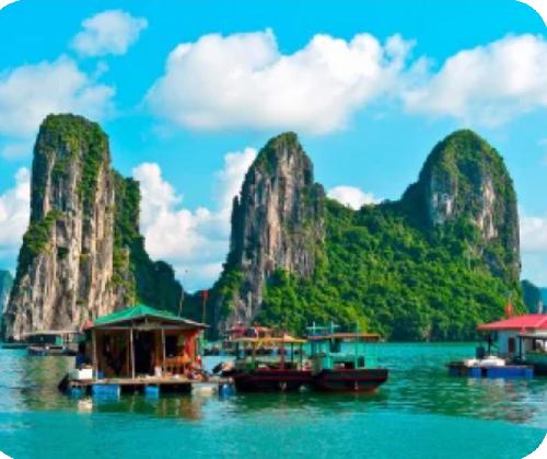 Te animas a descubrir Vietnam conmigo