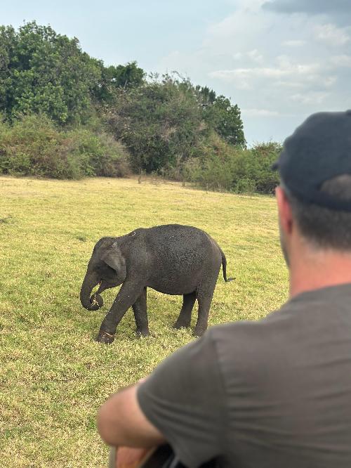 Sudamerica (Colombia, Brasil, o Argentina) final julio/agosto