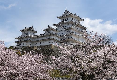Japn en Noviembre