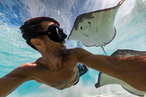 BUCEO VIDA A BORDO REVILLAGIGEDO