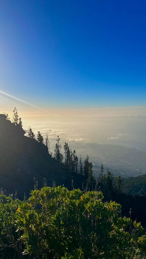 Viaje en julio a los fiordos noruegos (abierta a otras propuestas)