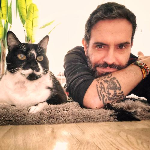 Busco compaer@ para visitar Corea del Sur