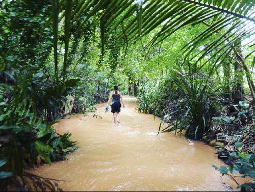 Compaerxs de viaje a Colombia