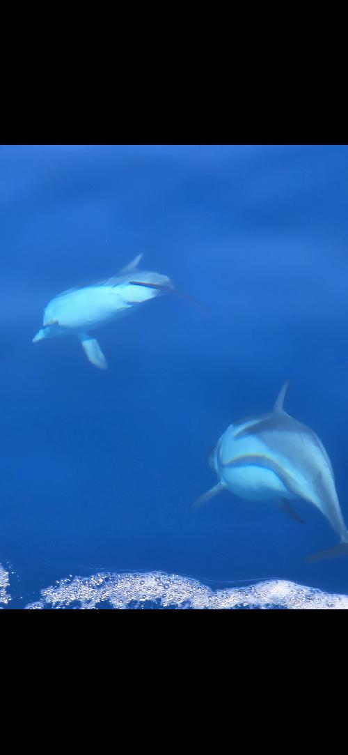 Pasear por el mediterrneo con mi barco