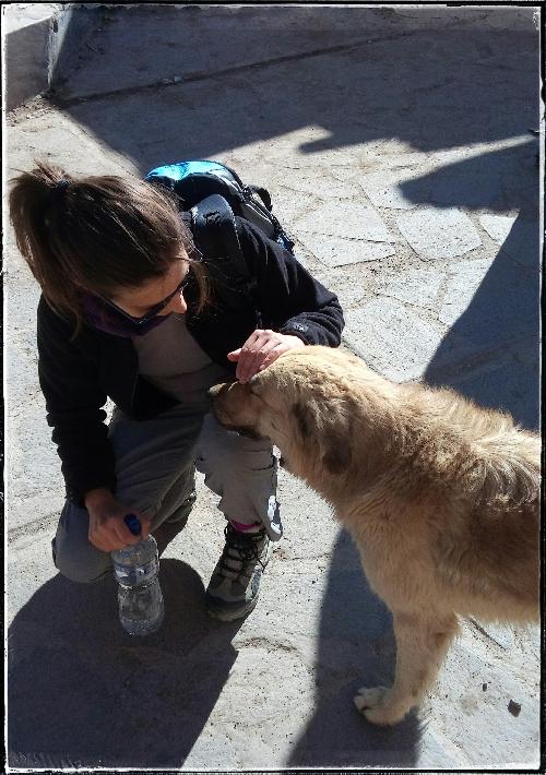 SENEGAL DEL 8 AL 19 DE MAYO.