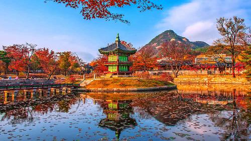 Compa�eras Corea del Sur o China (abierta a otros destinos) (18 mayo-7 junio)