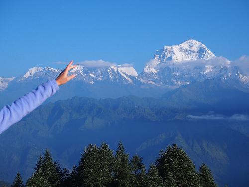 Guatemala / El Salvador