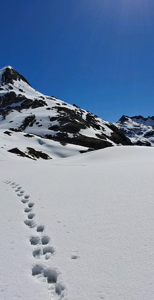 Campo Base Everest Marzo-Abril 2026