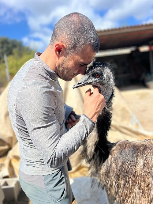 Tnez del 31 al 7 de enero