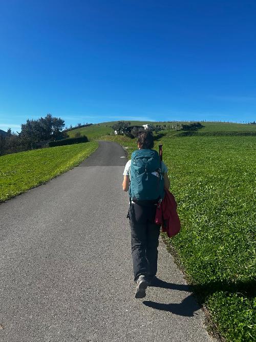 Compa�era para ir a la India en Febrero