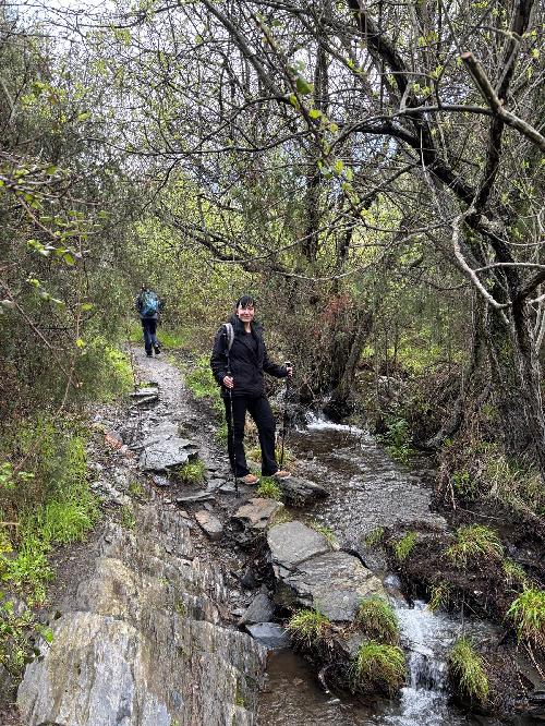 Busco compa�er@ para safari en Tanzania en julio