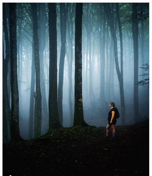 Busco compa�era para Japon para final mayo 