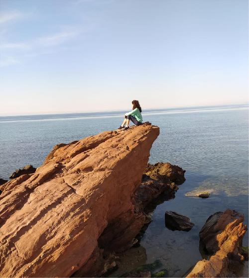 Compa�era para Per� en Junio viaje programado