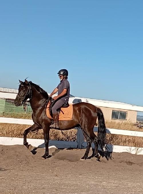 Me uno a cualquier aventura 