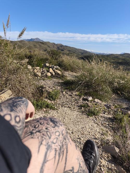 Escapa a Asturias desde Alicante