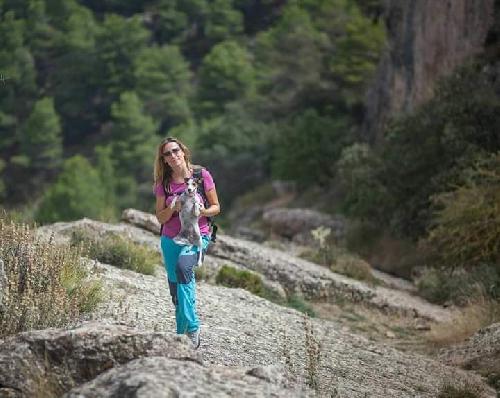 Busco compa�ero con furgoneta para viajar preferib.por naturaleza