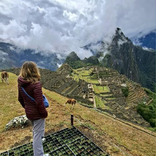 Busco compa�er@s para viajar a Uganda en agosto 2027